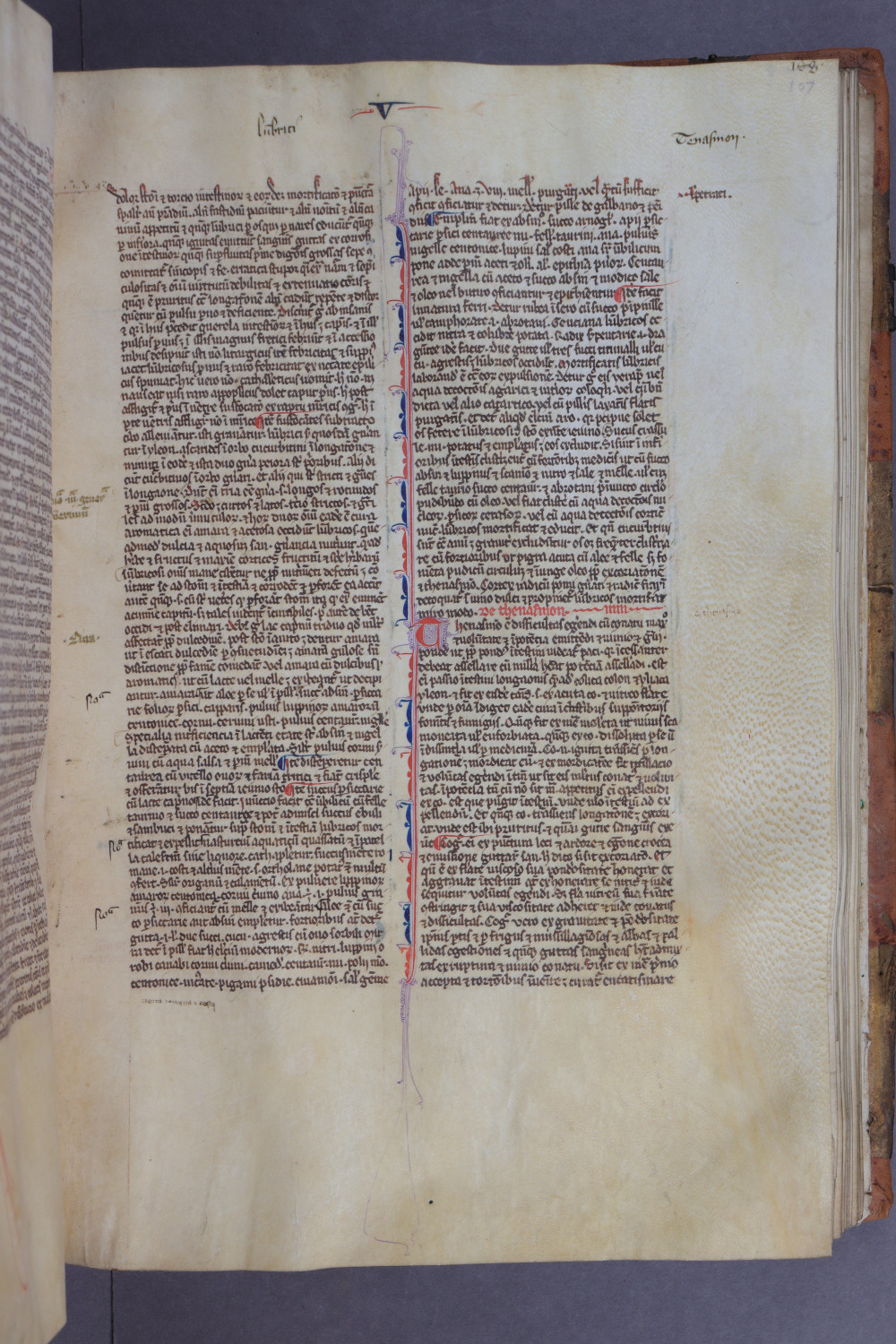 Folio 107 recto
